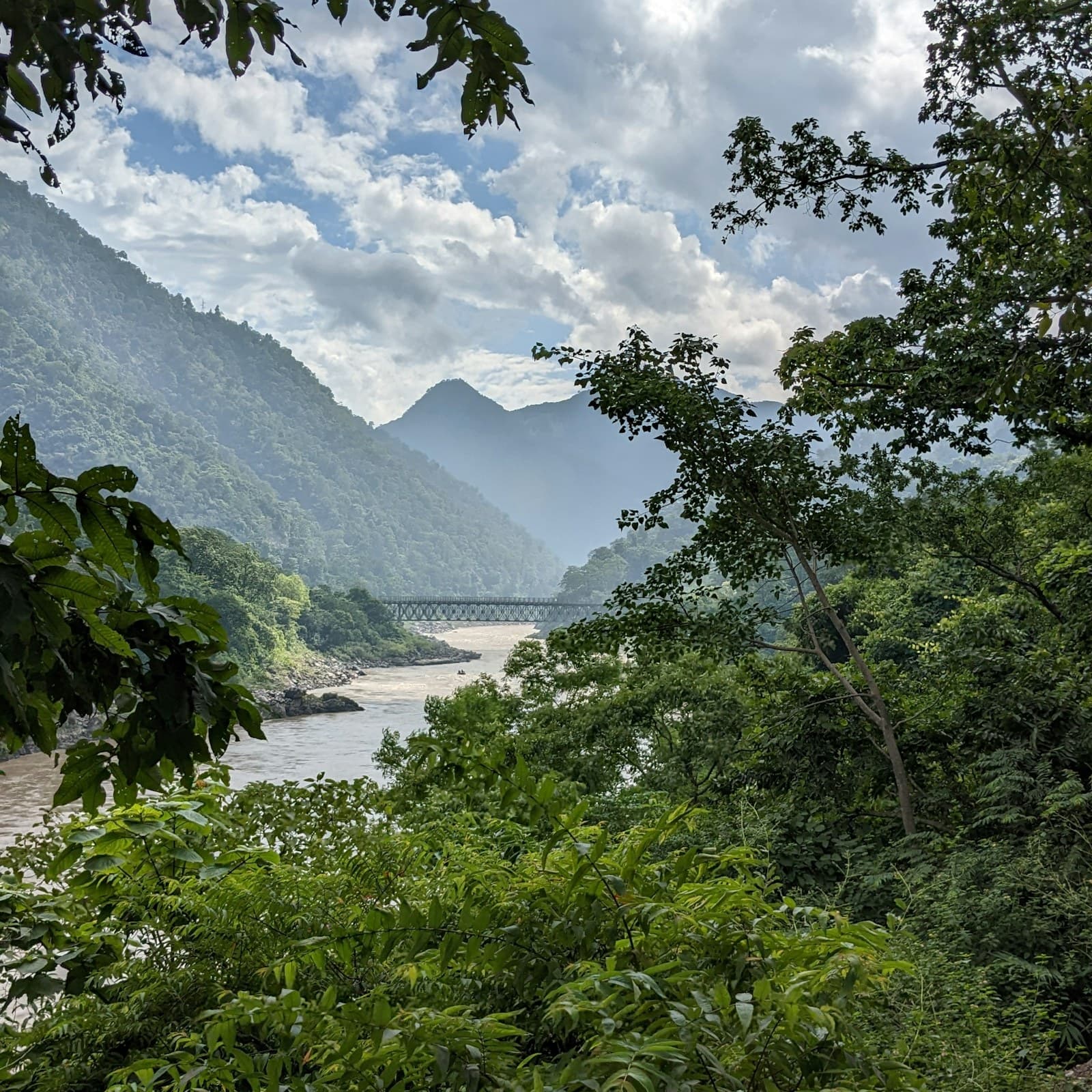 River flowing through a forest in Rishikesh, Uttarakhand