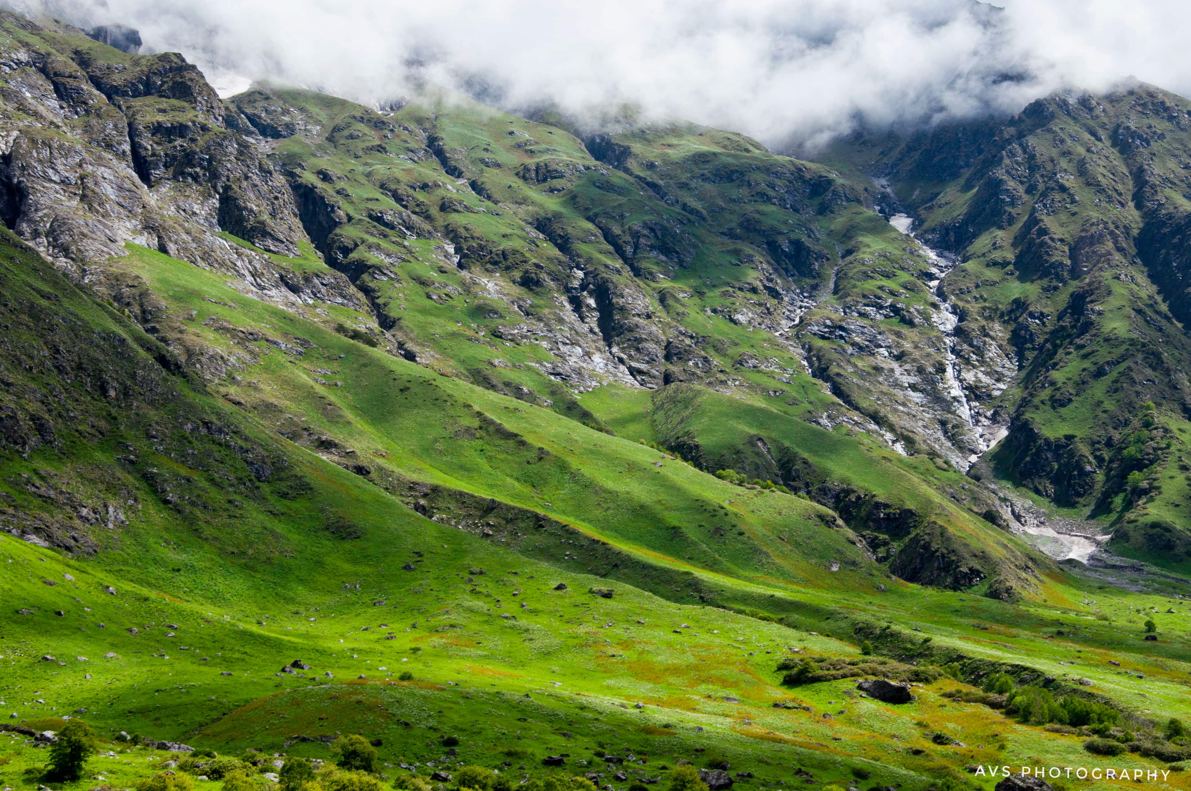 Valley of Flowers Monsoon Trek